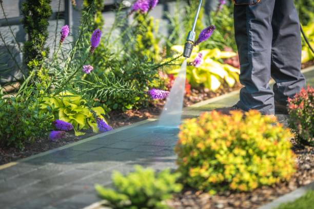 Best Concrete Surface Cleaning in Pequot Lakes, MN