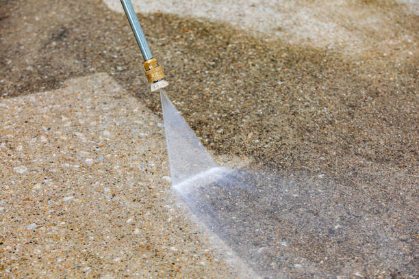 Best Roof Cleaning and Mildew Removal in Pequot Lakes, MN